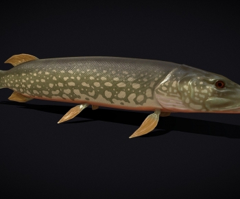 Modern Aquatic Product-ID:521914968