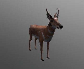Modern Animal-ID:404439042