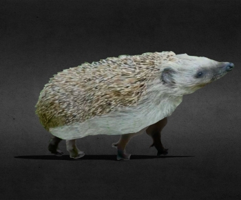 Modern Mammal-ID:301642899