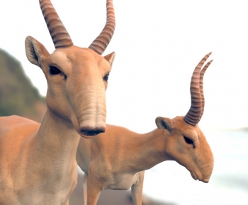 Modern Mammal-ID:387628086