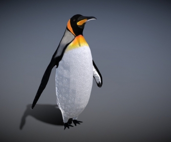 Modern Other Animals-ID:811007022