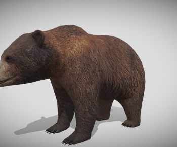 Modern Mammal-ID:641877892
