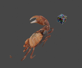 Modern Aquatic Animals-ID:261939059