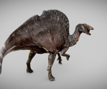 Modern Other Animals-ID:371687899