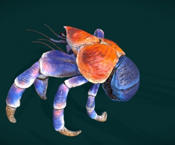 Modern Animal-ID:333225973