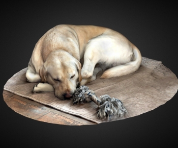 Modern Animal Dog-ID:218119696