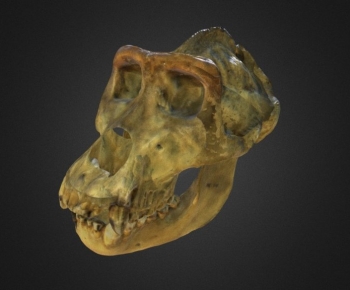 Modern Medical Equipment-ID:603455079