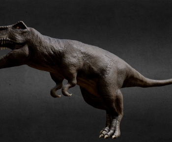 Modern Mammal-ID:213861946