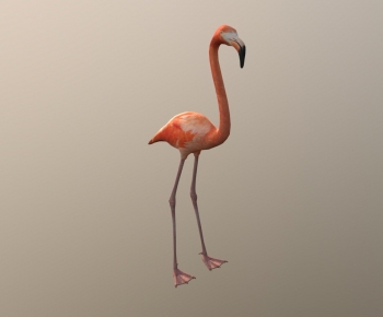 Modern Animal-ID:490598924