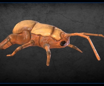 Modern Animal-ID:145510914