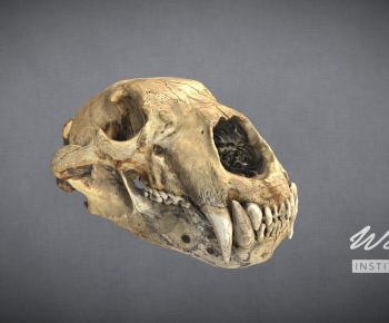 Modern Medical Equipment-ID:883269074