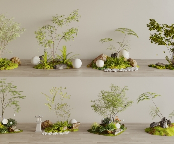 Modern Plant Landscaping-ID:209086895