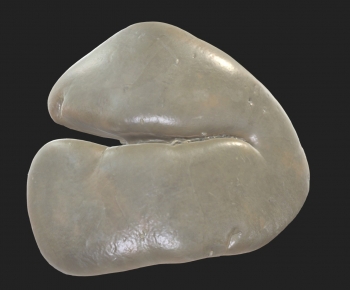 Modern Medical Equipment-ID:331326964