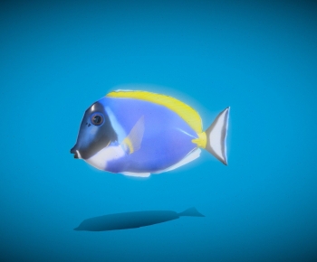 Modern Animal-ID:916716106