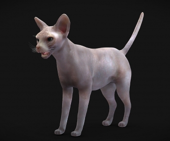 Modern Mammal-ID:152080158