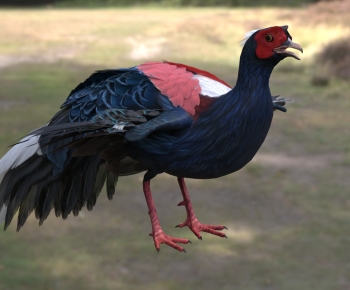 Modern Flying Animals-ID:240436085