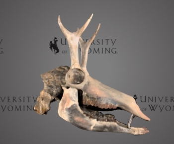 Modern Medical Equipment-ID:787286042