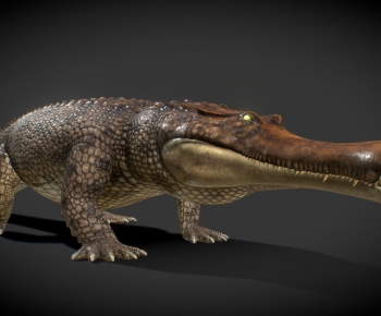 Modern Mammal-ID:370074995