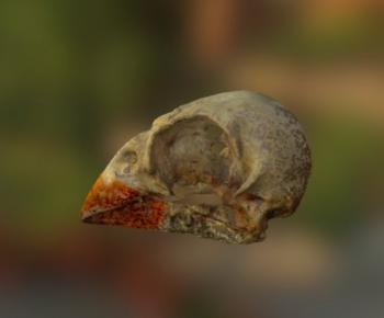 Modern Medical Equipment-ID:892421016