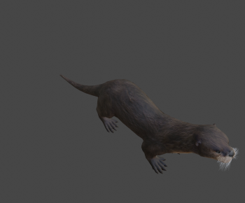 Modern Animal-ID:684417015
