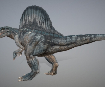Modern Animal-ID:644181019
