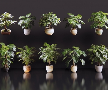 Modern Potted Green Plant-ID:829540972