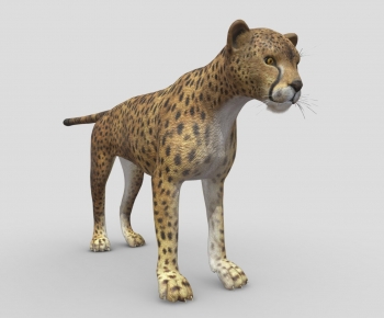 Modern Mammal-ID:391174082