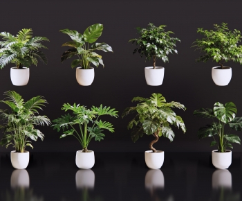 Modern Ground Green Plant Potted Plants-ID:590352064