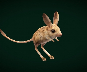 Modern Mammal-ID:572369161