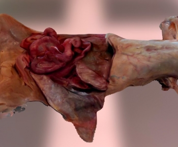 Modern Medical Equipment-ID:270385986