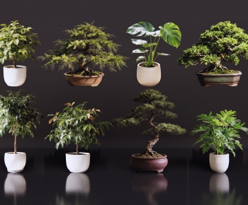 Modern Potted Green Plant-ID:239489089