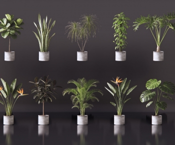 Modern Ground Green Plant Potted Plants-ID:517919069