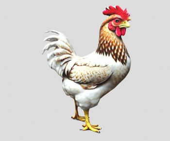 Modern Poultry Animal-ID:986536986