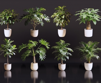 Modern Ground Green Plant Potted Plants-ID:154738904