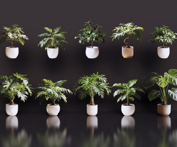 Modern Potted Green Plant-ID:840089395
