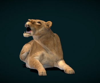 Modern Animal-ID:822896004