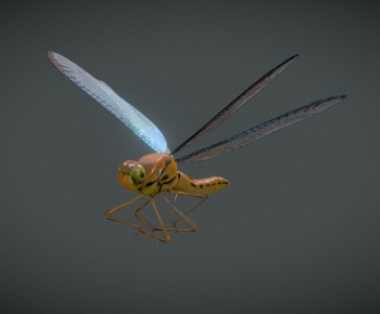 Modern Flying Animals-ID:907327897