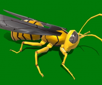 Modern Animal-ID:455889713