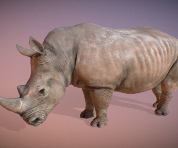 Modern Mammal-ID:627805954
