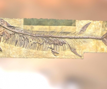 Modern Medical Equipment-ID:988497022