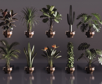 Modern Ground Green Plant Potted Plants-ID:940799958