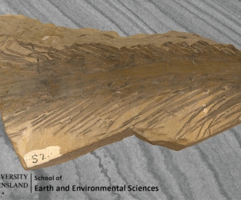 Modern Wood-ID:219686038