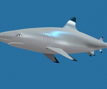 Modern Animal-ID:158272983