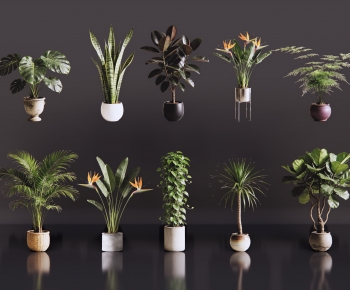 Modern Ground Green Plant Potted Plants-ID:607587103