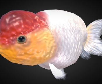 Modern Aquatic Animals-ID:415842063