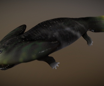 Modern Aquatic Animals-ID:974186908