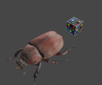 Modern Animal-ID:885596042