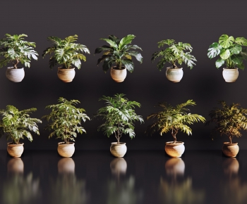 Modern Bonsai-ID:938630126