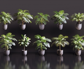 Modern Ground Green Plant Potted Plants-ID:474236974