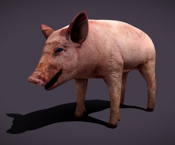 Modern Animal Pig-ID:242122894